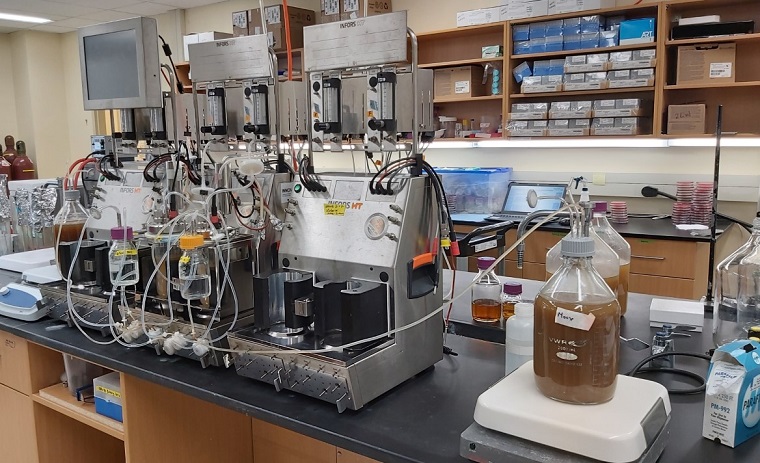 Bioreactors used to culture gut microbes in the Allen-Vercoe lab (photo by S. Rosiana)