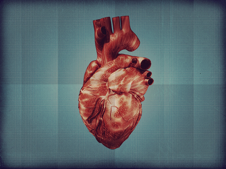 Painted illustration of a human heart on a blue background