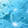 Brain neurons (illustration in blue)