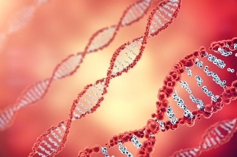 DNA molecules in red background