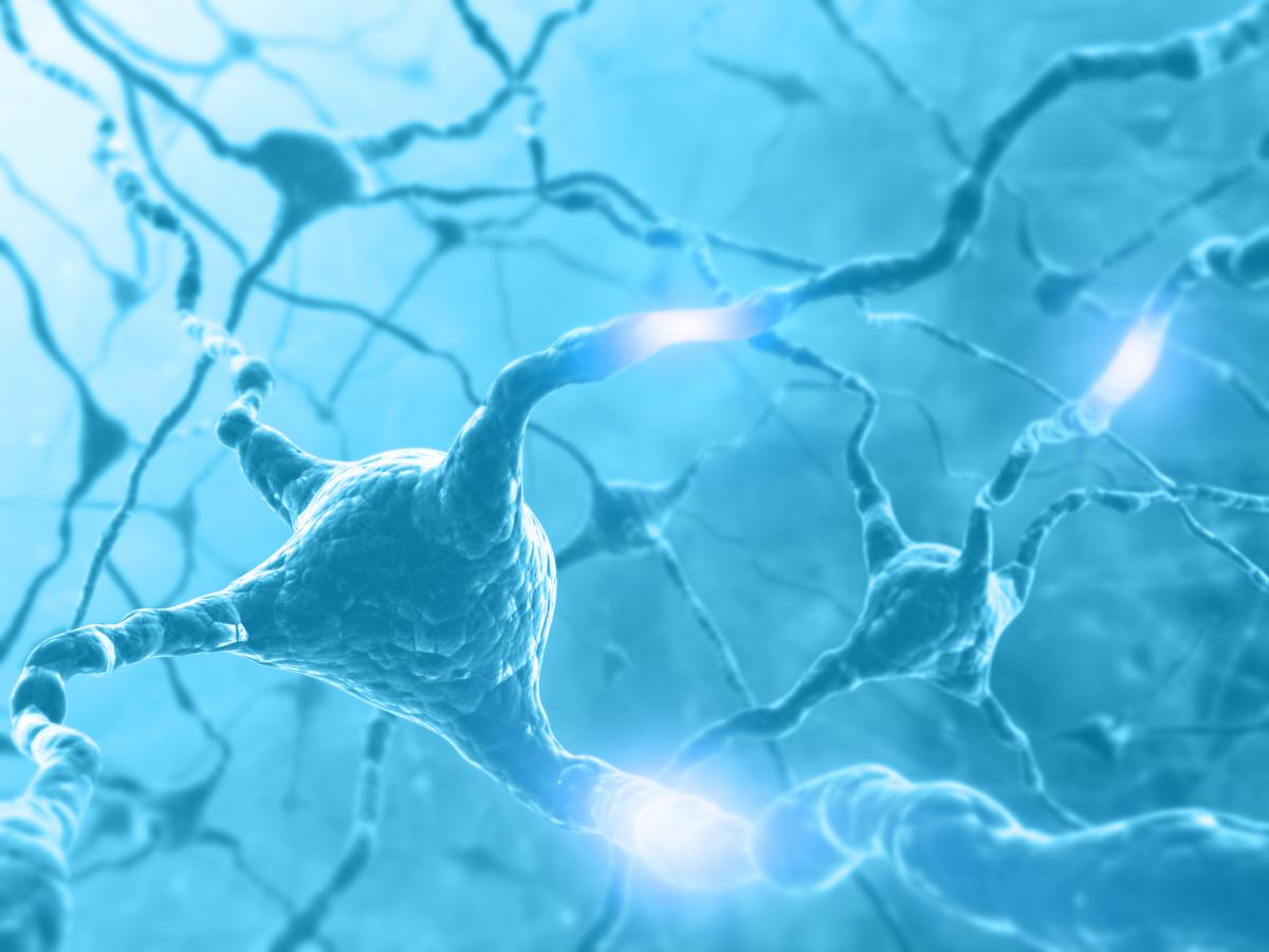 Computer illustration of brain neurons in a blue background