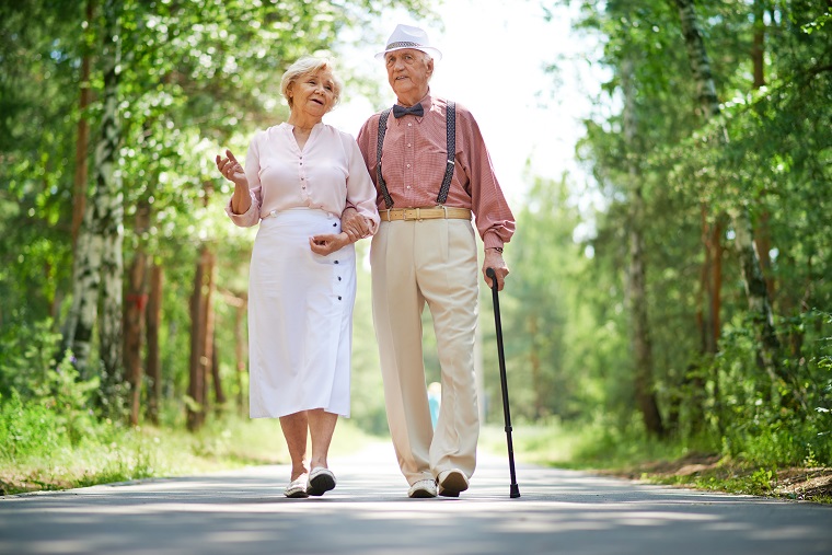 Seniors walking on a forest trail