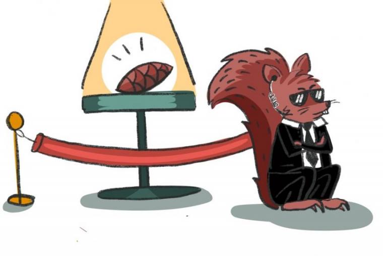 Illustration of squirrel guarding a cone