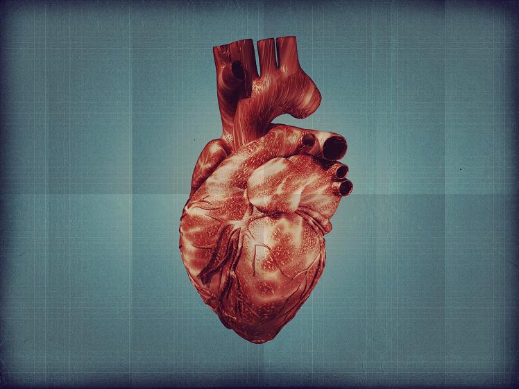 Picture of a Heart