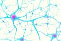 Illustration of neurons, in shades of blue and with a white background.