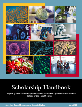 Cover of the scholarship handbook.