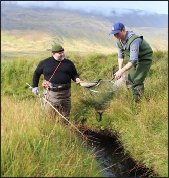 Researchers sampling fish in a small stream in Iceland.